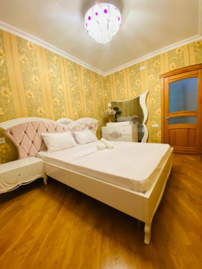 Cozy apartment in city center